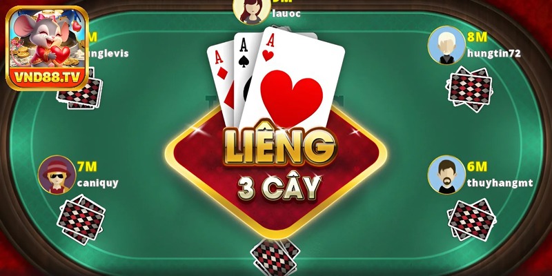 Các loại bài cào tố phổ biến 