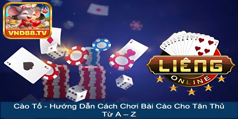 Cào Tố - Hướng Dẫn Cách Chơi Bài Cào Cho Tân Thủ Từ A – Z