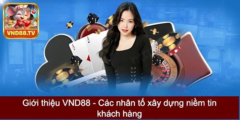 Giới thiệu VND88 - Các nhân tố xây dựng niềm tin khách hàng